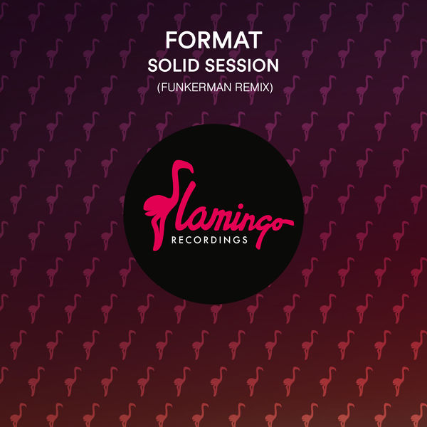 format solid session (funkerman remix zippyshare